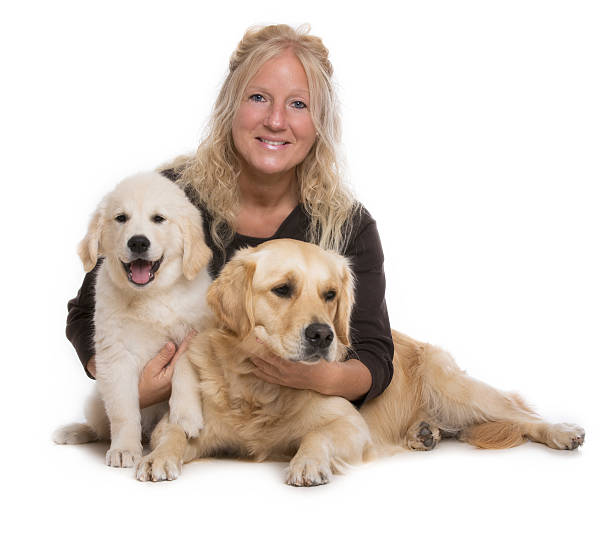 Sunny — 10 wks Female Light Golden Golden Retriever